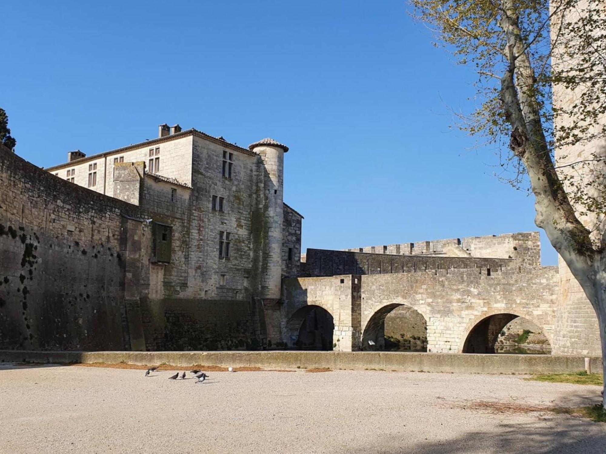 Maison Cosy, 2 Chambres, Adossee Aux Remparts Эг-Морт Экстерьер фото
